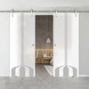 Double Glass Sliding Door - Solaris Tubular Stainless Steel Sliding Track & Crombie 8mm Obscure Glass - Obscure Printed Design