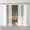 Double Glass Sliding Door - Solaris Tubular Stainless Steel Sliding Track & Seton 8mm Obscure Glass - Clear Printed Design