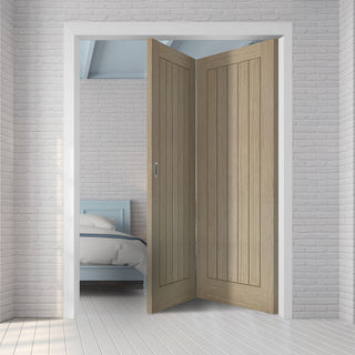 Image: Two Folding Doors & Frame Kit - Belize Light Grey 2+0 - Prefinished