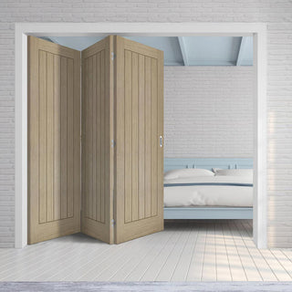 Image: Three Folding Doors & Frame Kit - Belize Light Grey 3+0 - Prefinished