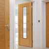 Interior bathroom doors