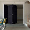 Three Folding Doors & Frame Kit - Soho 4 Panel Charcoal 3+0 - Prefinished