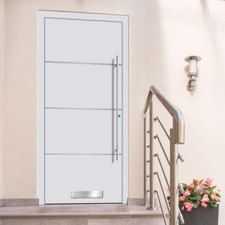 Image: External ThruSafe Aluminium Front Door - 1315 Stainless Steel - 7 Colour Options