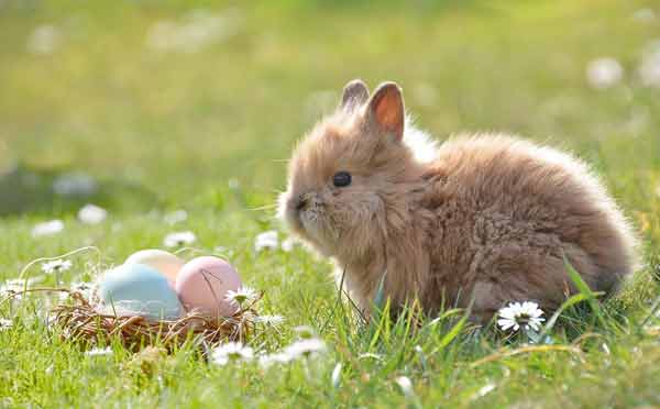 Easter Discount Code - April Offers