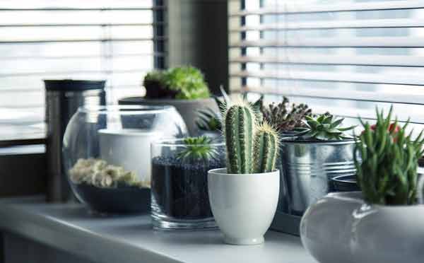 John Lewis - Gift Vouchers - Reviews