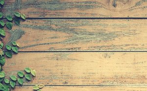 Popular timber types - DIY tip 34