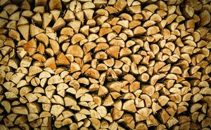 Timber Commonly Grown in the United States of America - DIY tip 40