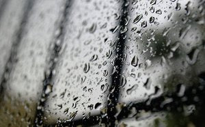 Decorating Doors and Door Maintenance