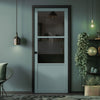 Berkley 2 Pane 1 Panel Solid Wood Internal Door UK Made DD6309 - Tinted Glass - Eco-Urban - Colour Options