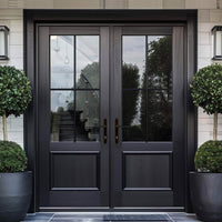 A pair of black French doors with double glazing and a handle on the right, leading to a bright interior with a mirrored wall and a potted plant.