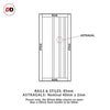 Sirius Tubular Stainless Steel Track & Solid Wood Door - Eco-Urban® Malmo 4 Panel Door DD6401 - 6 Colour Options