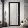 Adiba Solid Wood Internal Door UK Made  DD0106F Frosted Glass - Shadow Black Premium Primed - Urban Lite® Bespoke Sizes