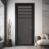 Drake Solid Wood Internal Door UK Made  DD0108T Tinted Glass - Shadow Black Premium Primed - Urban Lite® Bespoke Sizes