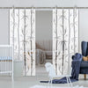 Double Glass Sliding Door - Solaris Tubular Stainless Steel Sliding Track & Bamboo 8mm Obscure Glass - Clear Printed Design