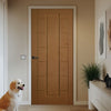Cairgorm Irish Oak Grained Internal PVC Door