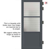Berkley 2 Pane 1 Panel Solid Wood Internal Door UK Made DD6309 - Clear Reeded Glass - Eco-Urban - Colour Options