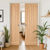 Mexicano Oak Double Evokit Pocket Door