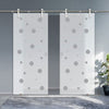 Double Glass Sliding Door - Solaris Tubular Stainless Steel Sliding Track & Polka Dot 8mm Obscure Glass - Obscure Printed Design