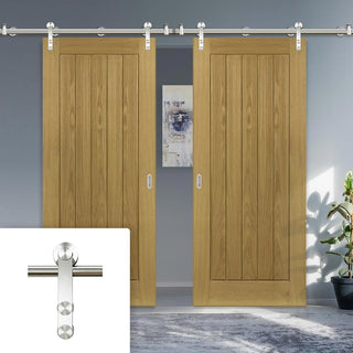 Image: Saturn Tubular Stainless Steel Sliding Track & Ely Oak Double Door - Unfinished