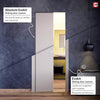 Geometric Swirl 8mm Obscure Glass - Clear Printed Design - Double Absolute Pocket Door