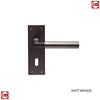 Amiata Lever on Backplate Lock 57mm - 6 Finishes (Pair)