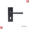 Amiata Lever on Backplate Lock 57mm - 6 Finishes (Pair)