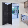 Two Folding Doors & Frame Kit - Antwerp 3 Panel 2+0 - Black Primed