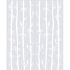 Bamboo 8mm Clear Glass - Obscure Printed Design - Double Absolute Pocket Door
