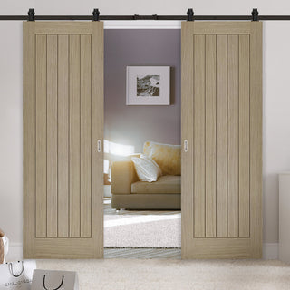 Image: Top Mounted Black Sliding Track & Double Door - Belize Light Grey Doors - Prefinished