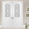 Classic Grained PVC Door Pair - Sandblast Starburst Style Glass