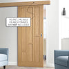 Single Sliding Door & Wall Track - Coventry Contemporary Oak Panel Door - Unfinished