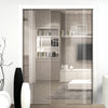 Crichton 8mm Clear Glass - Obscure Printed Design - Double Evokit Pocket Door