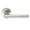 Sale - Philadelphia - Lever On Rose