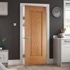 eindhoven 1 panel oak door prefinished