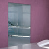 Moor 8mm Clear Glass - Double Absolute Pocket Door