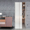 Juniper 8mm Obscure Glass - Clear Printed Design - Single Absolute Pocket Door