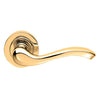 European AQ3 Apollo Lever Latch Handles on Round Rose - 3 Finishes