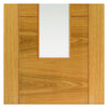 Glazed oak veneer flush interior door
