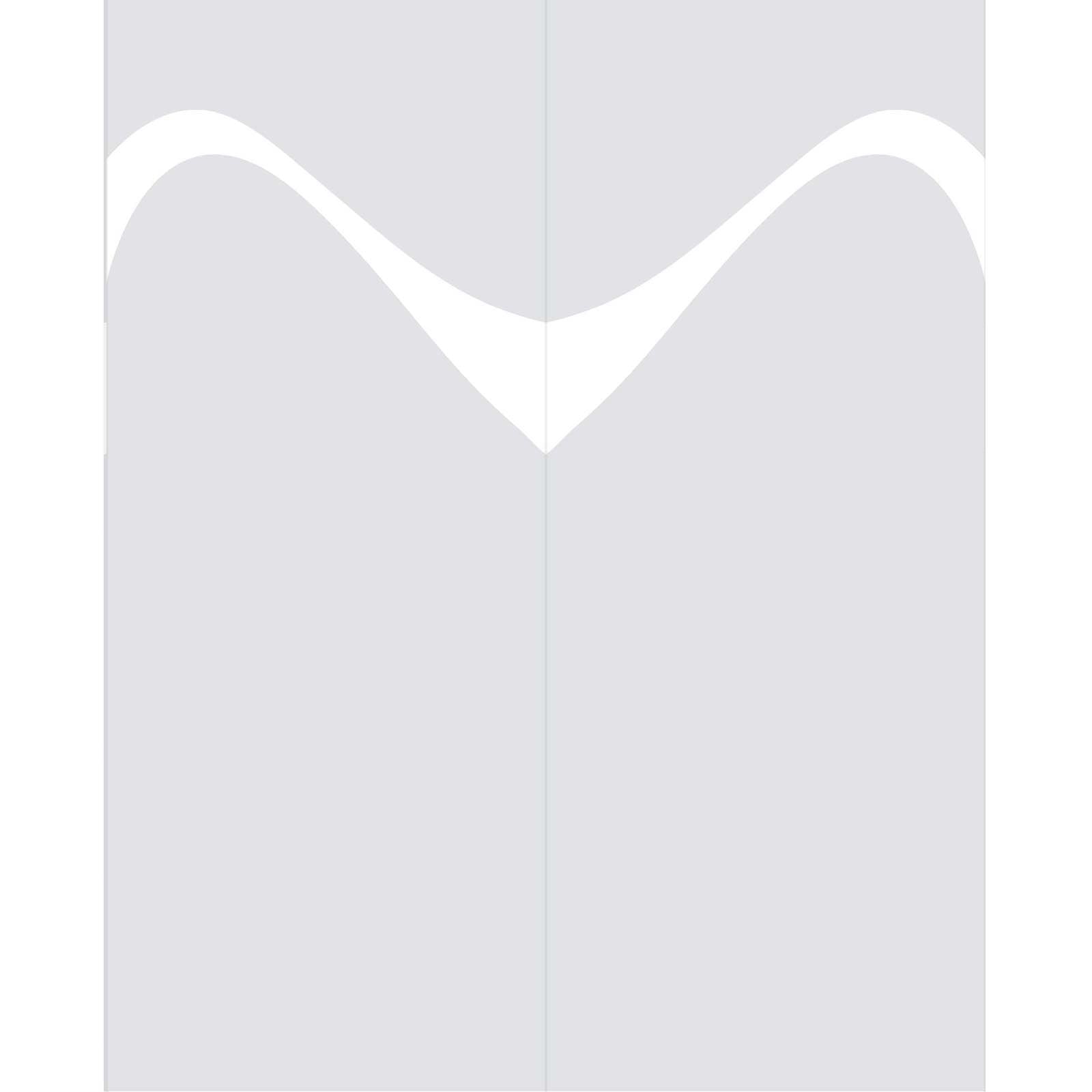Double Glass Sliding Door - Kingston 8mm Clear Glass - Obscure Printed Design - Planeo 60 Pro Kit