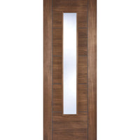 Laminate contemporary style interior door