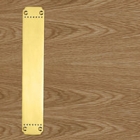 PF110 Laurin Finger Plate, 370x64mm