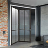 Two Folding Doors & Frame Kit - Liberty 4 Pane 2+0 - Clear Glass - Black Primed