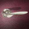 Malta Mediterranean Lever on Round C Rose - Satin Nickel