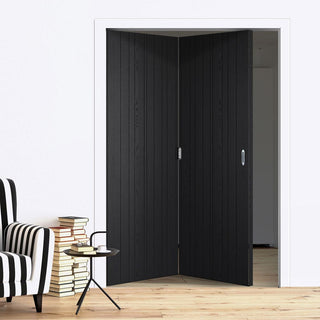 Image: Two Folding Doors & Frame Kit - Montreal Charcoal 2+0 - Prefinished