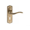 Warwick Old English Lever on Backplate - Key - Antique Brass