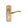 Warwick Old English Lever on Backplate - Key - Matt Antique Brass