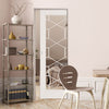 Orly Absolute Evokit Single Pocket Door - Clear Glass - White Primed