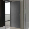 Modern interior grey door