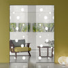 Polka Dot 8mm Clear Glass - Obscure Printed Design - Double Absolute Pocket Door