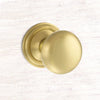 Harrogate Mushroom Old English Mortice Knob - Satin Brass